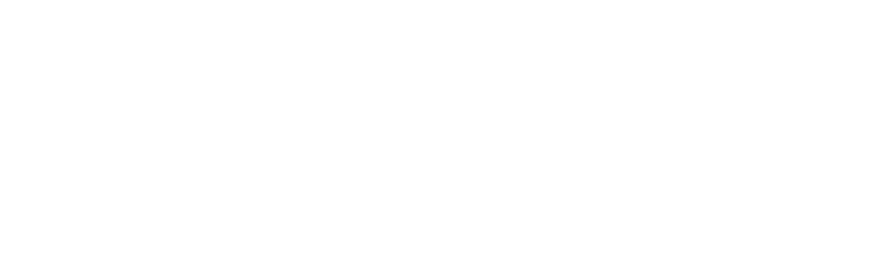 寰興移民logo